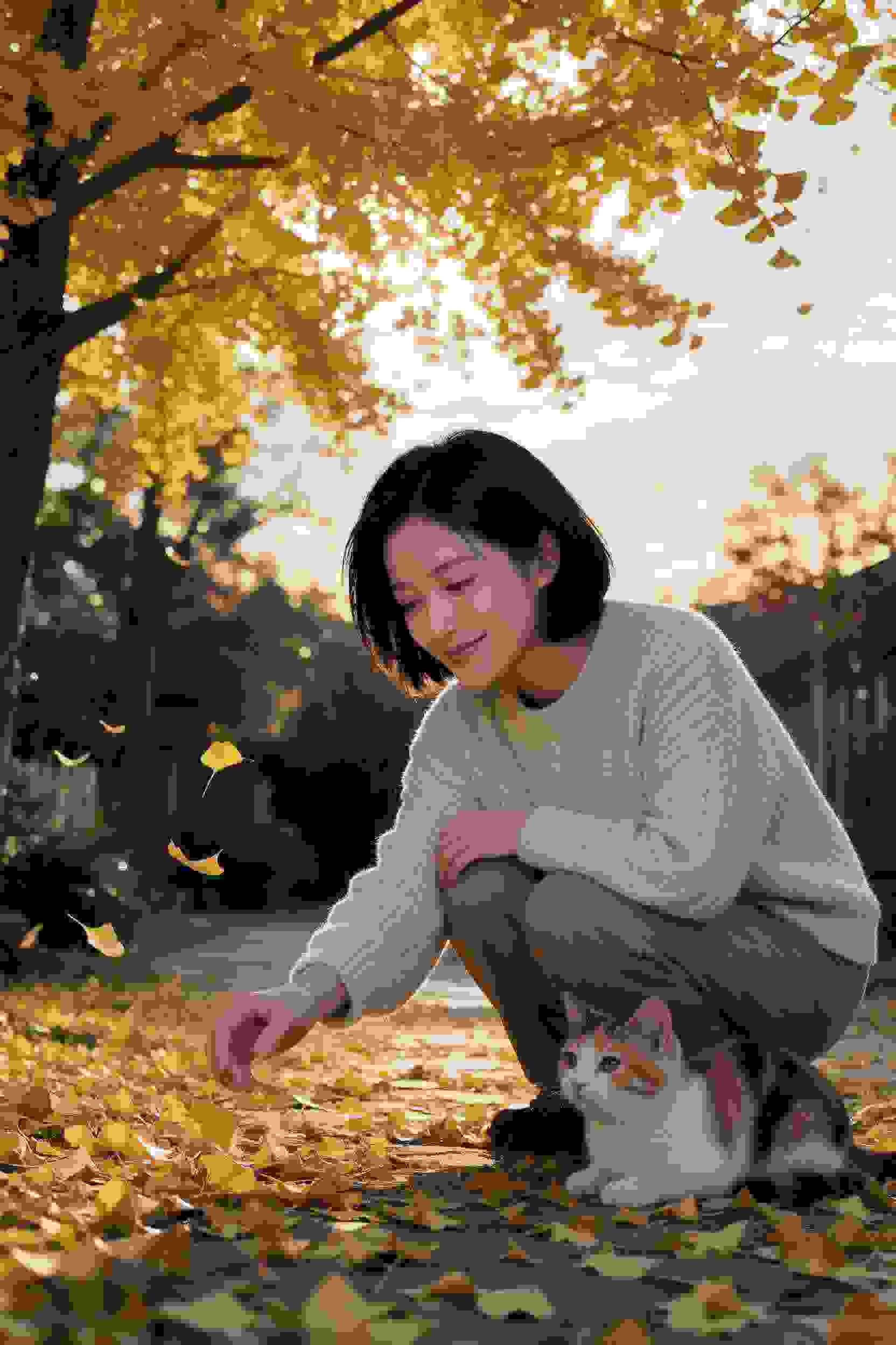 摄影师之恋